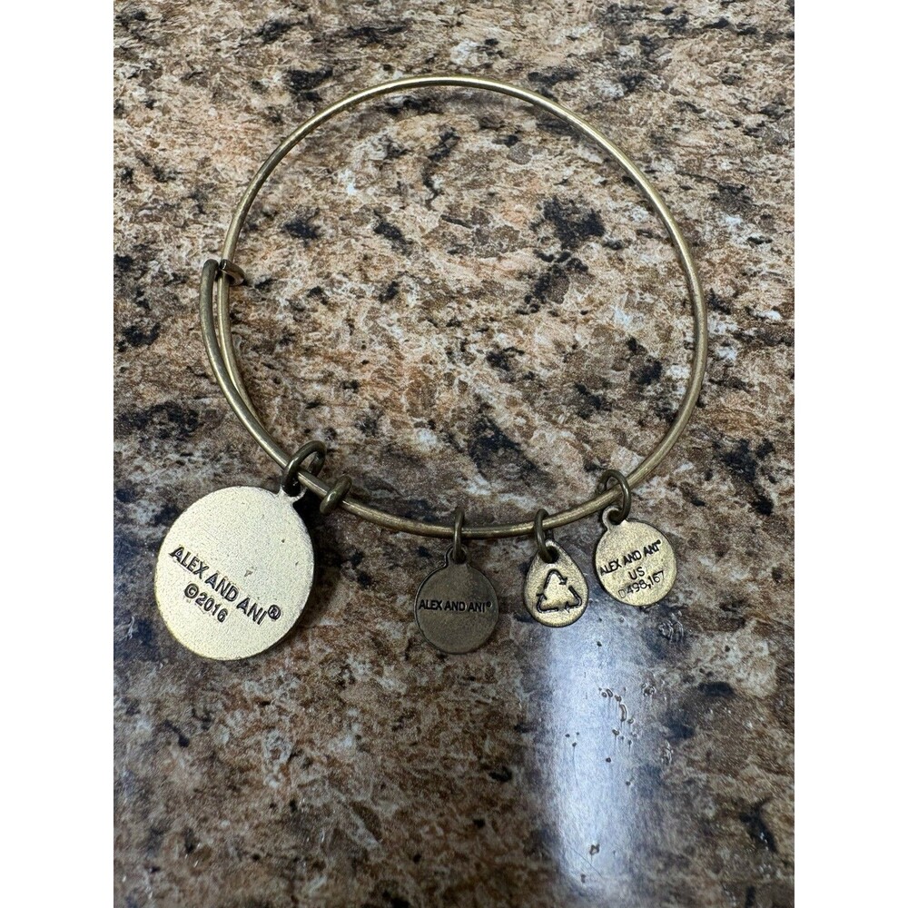 Alex and Ani INITIAL M Rafaelian Gold Charm Bangle Bracelet – Expandable